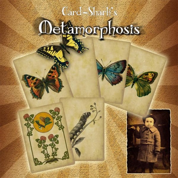 metamorphis